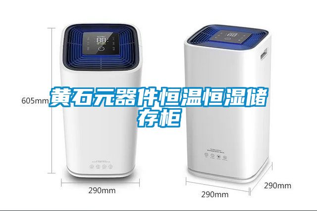 黃石元器件恒溫恒濕儲存柜