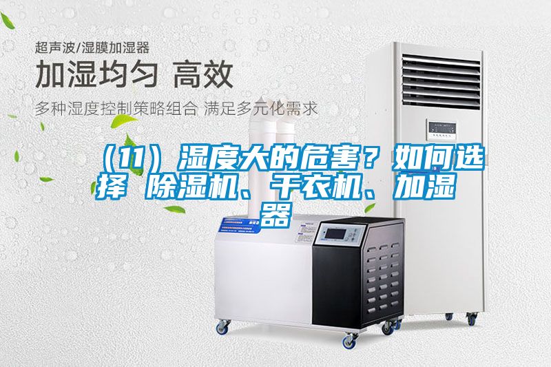 （11）濕度大的危害？如何選擇 除濕機(jī)、干衣機(jī)、加濕器