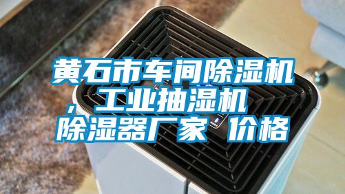 黃石市車間除濕機(jī)，工業(yè)抽濕機(jī)  除濕器廠家 價格