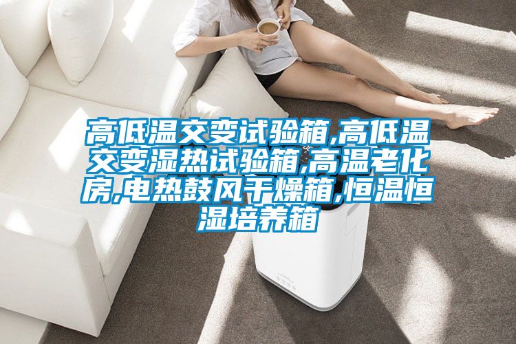 高低溫交變試驗箱,高低溫交變濕熱試驗箱,高溫老化房,電熱鼓風干燥箱,恒溫恒濕培養箱