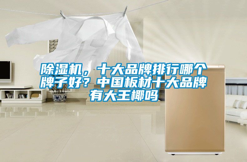 除濕機，十大品牌排行哪個牌子好？中國板材十大品牌有大王椰嗎