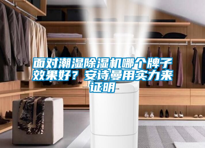 面對潮濕除濕機哪個牌子效果好？安詩曼用實力來證明