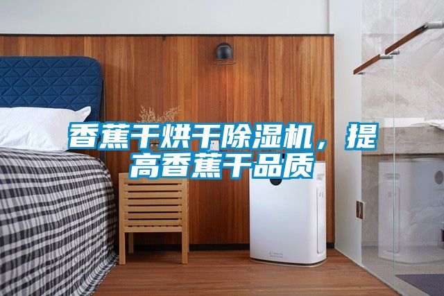 香蕉干烘干除濕機(jī)，提高香蕉干品質(zhì)