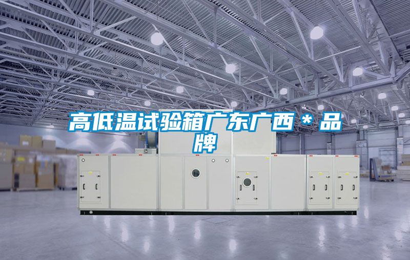 高低溫試驗箱廣東廣西＊品牌