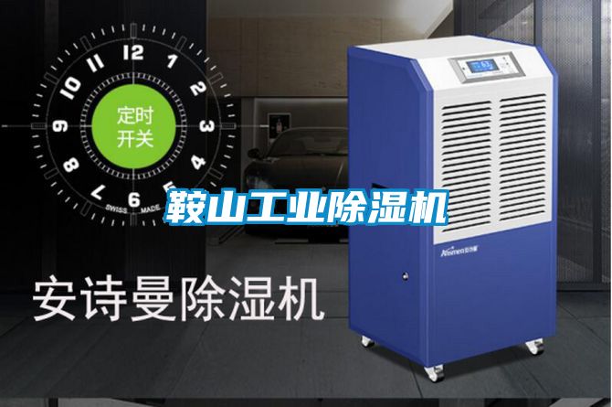 鞍山工業除濕機