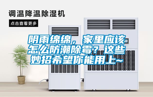陰雨綿綿，家里應該怎么防潮除霉？這些妙招希望你能用上~