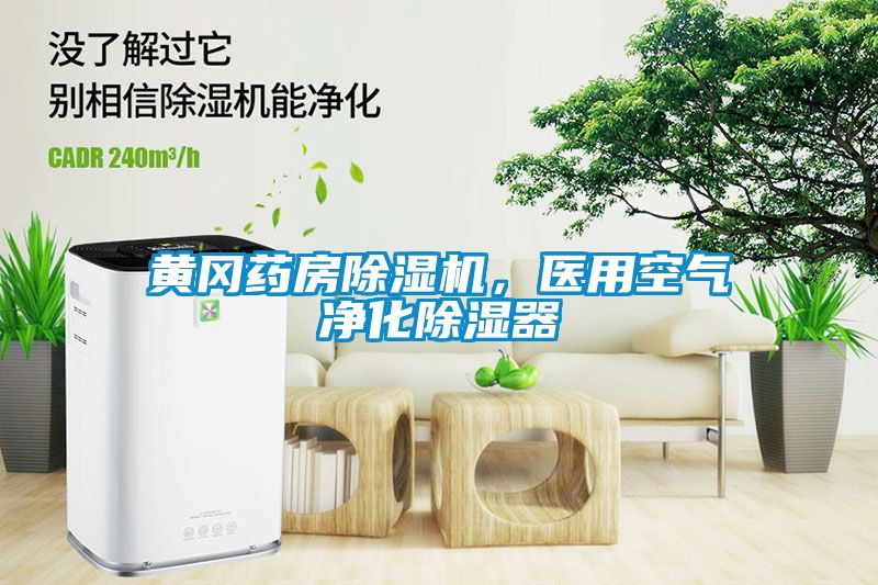 黃岡藥房除濕機，醫用空氣凈化除濕器