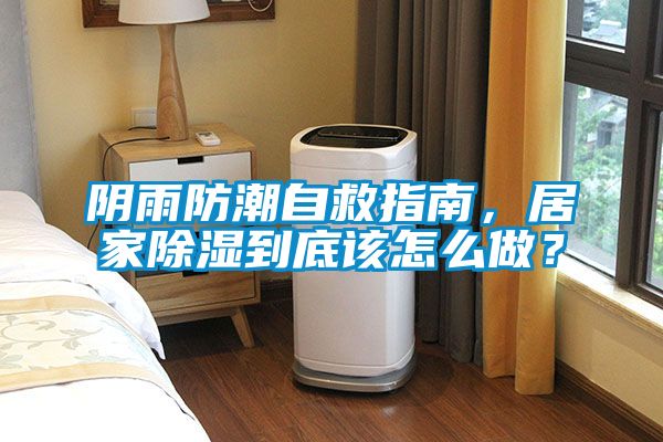 陰雨防潮自救指南，居家除濕到底該怎么做？