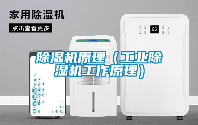 除濕機原理（工業(yè)除濕機工作原理）