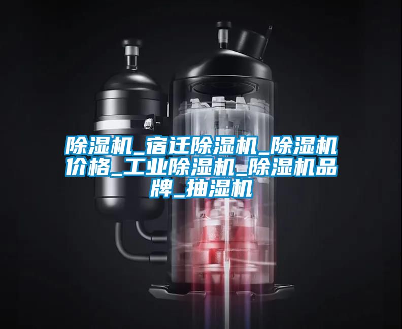 除濕機_宿遷除濕機_除濕機價格_工業(yè)除濕機_除濕機品牌_抽濕機