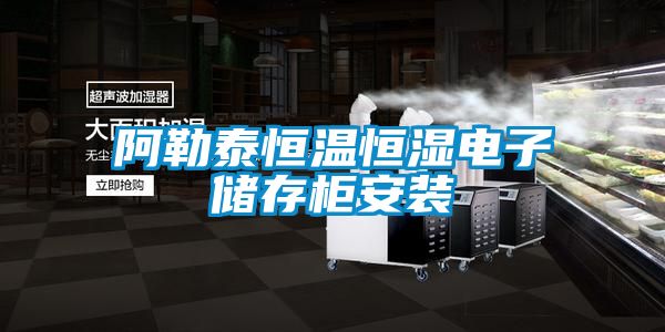 阿勒泰恒溫恒濕電子儲存柜安裝