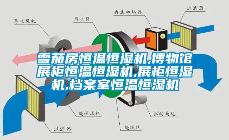 雪茄房恒溫恒濕機,博物館展柜恒溫恒濕機,展柜恒濕機,檔案室恒溫恒濕機