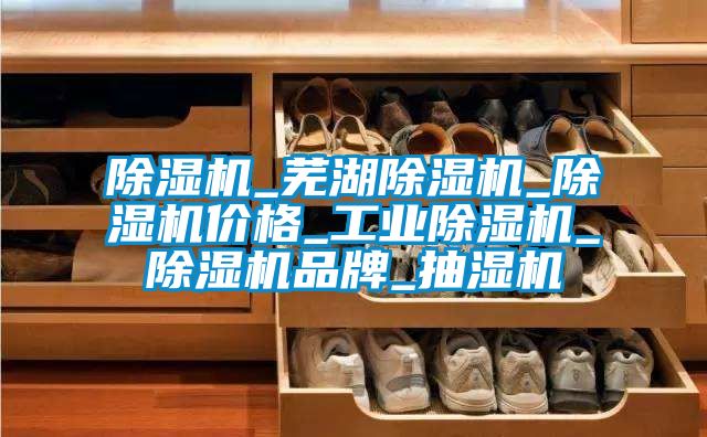 除濕機_蕪湖除濕機_除濕機價格_工業除濕機_除濕機品牌_抽濕機
