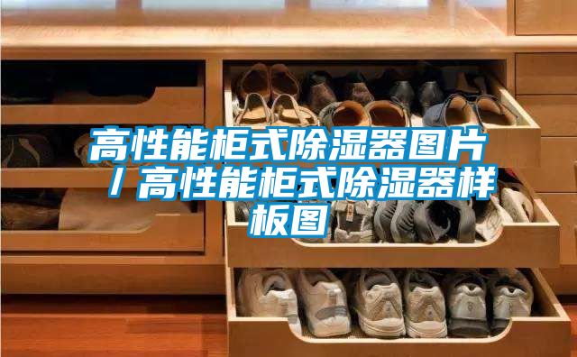 高性能柜式除濕器圖片／高性能柜式除濕器樣板圖