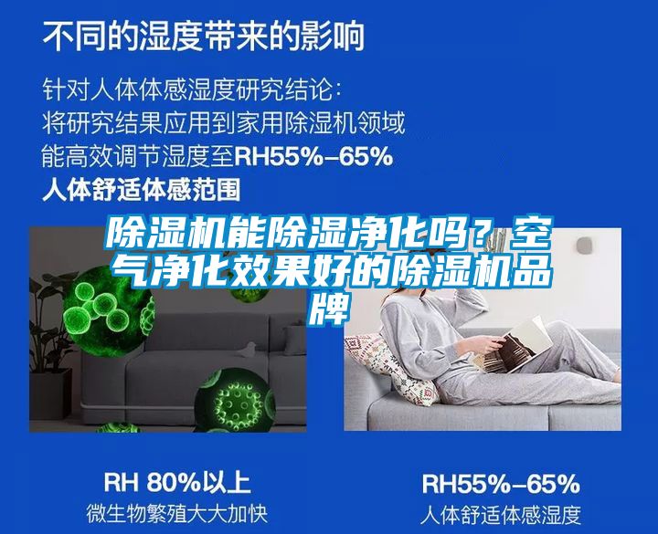 除濕機(jī)能除濕凈化嗎？空氣凈化效果好的除濕機(jī)品牌