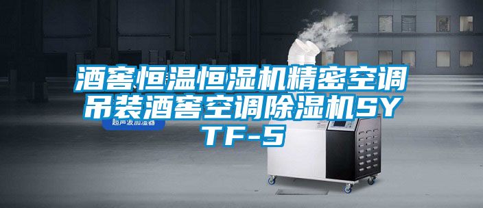 酒窖恒溫恒濕機精密空調吊裝酒窖空調除濕機SYTF-5