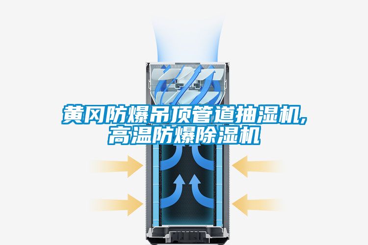 黃岡防爆吊頂管道抽濕機,高溫防爆除濕機