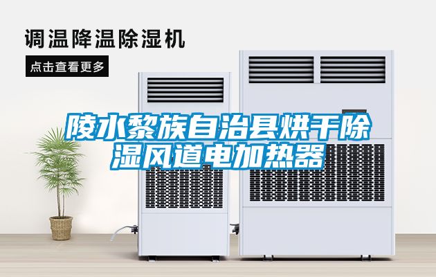 陵水黎族自治縣烘干除濕風道電加熱器
