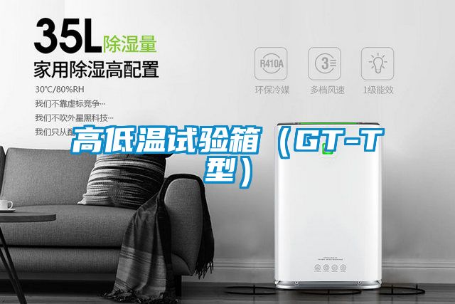 高低溫試驗箱（GT-T型）