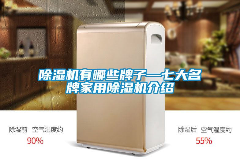 除濕機有哪些牌子—七大名牌家用除濕機介紹