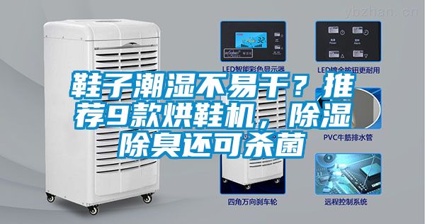 鞋子潮濕不易干？推薦9款烘鞋機，除濕除臭還可殺菌