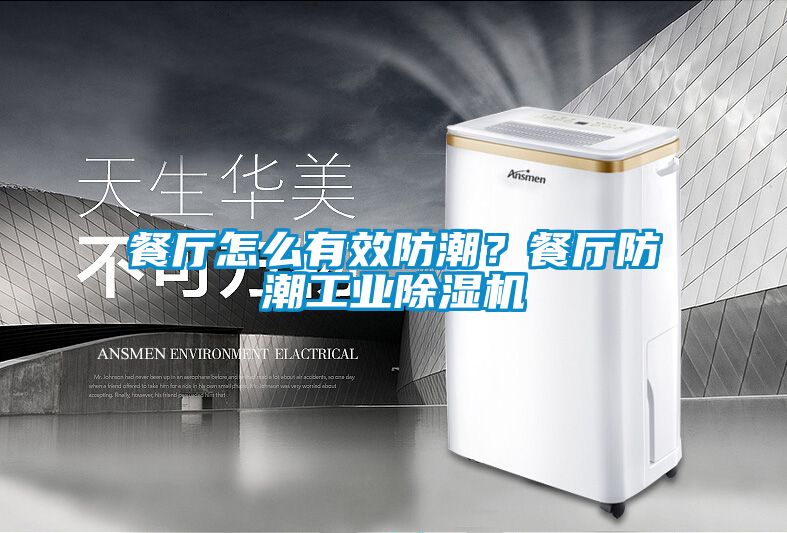 餐廳怎么有效防潮？餐廳防潮工業除濕機