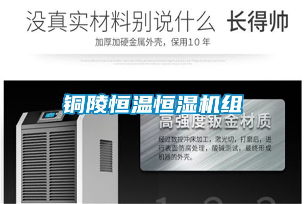 銅陵恒溫恒濕機組