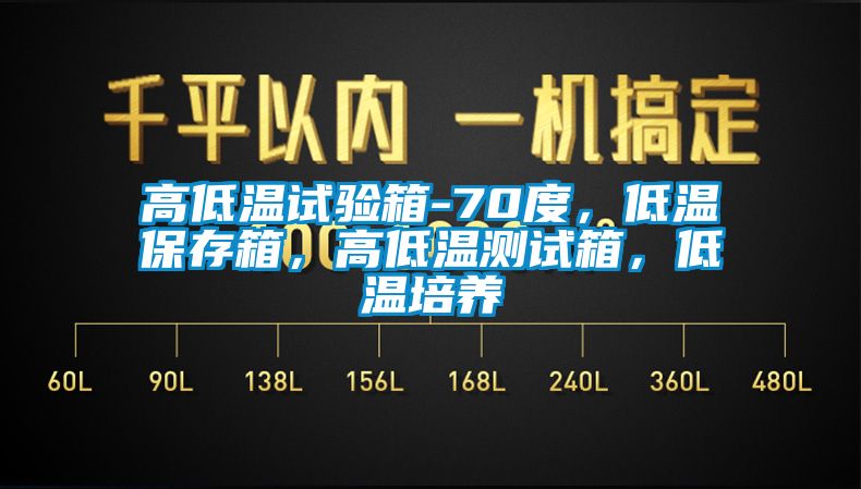 高低溫試驗(yàn)箱-70度，低溫保存箱，高低溫測試箱，低溫培養(yǎng)