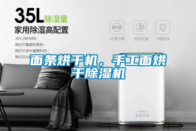 面條烘干機，手工面烘干除濕機