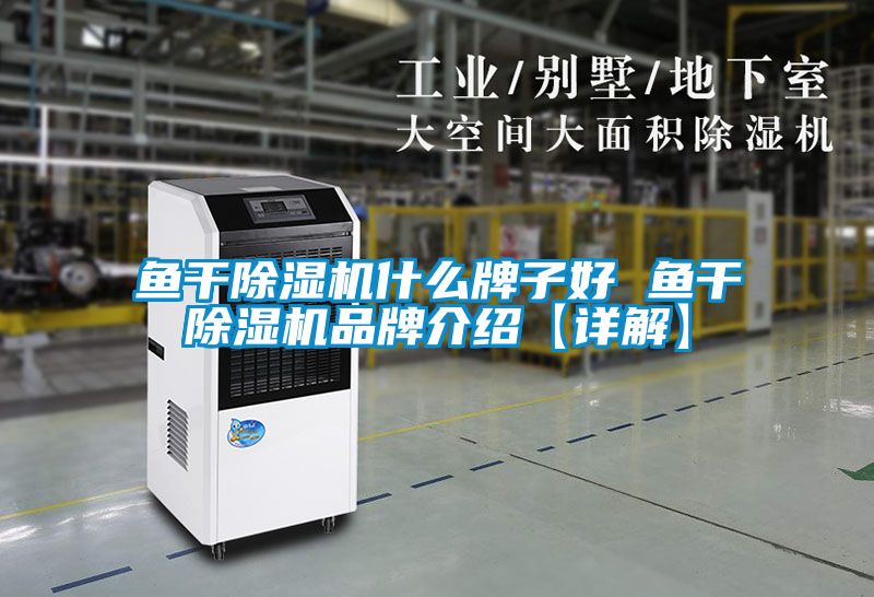 魚干除濕機什么牌子好 魚干除濕機品牌介紹【詳解】