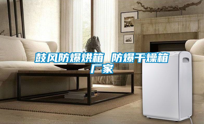 鼓風防爆烘箱 防爆干燥箱廠家
