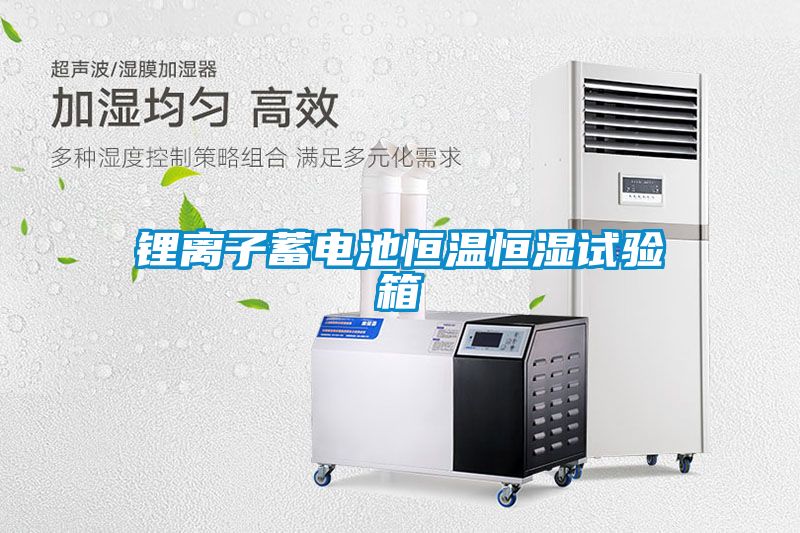 鋰離子蓄電池恒溫恒濕試驗箱