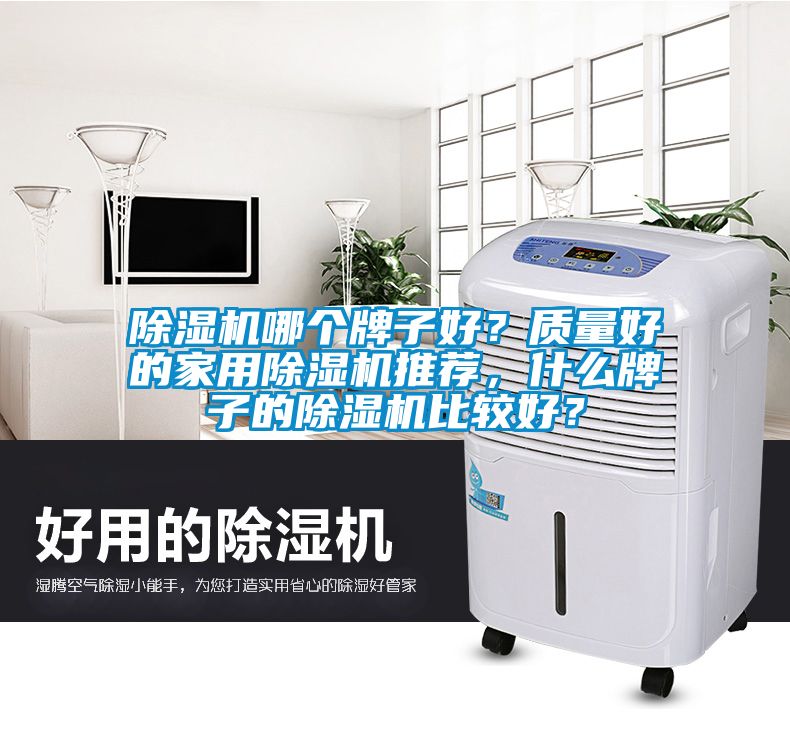 除濕機哪個牌子好？質量好的家用除濕機推薦，什么牌子的除濕機比較好？