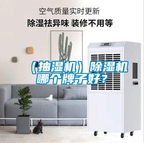 （抽濕機）除濕機哪個牌子好？
