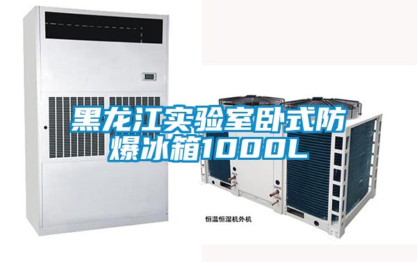 黑龍江實驗室臥式防爆冰箱1000L