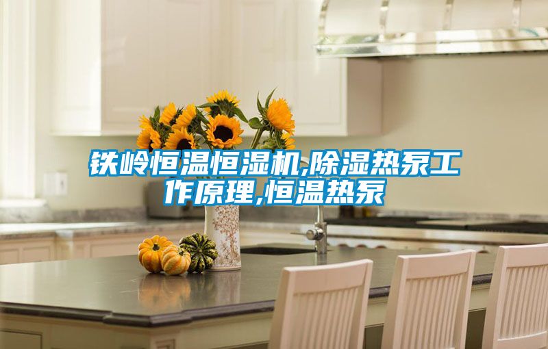 鐵嶺恒溫恒濕機,除濕熱泵工作原理,恒溫熱泵