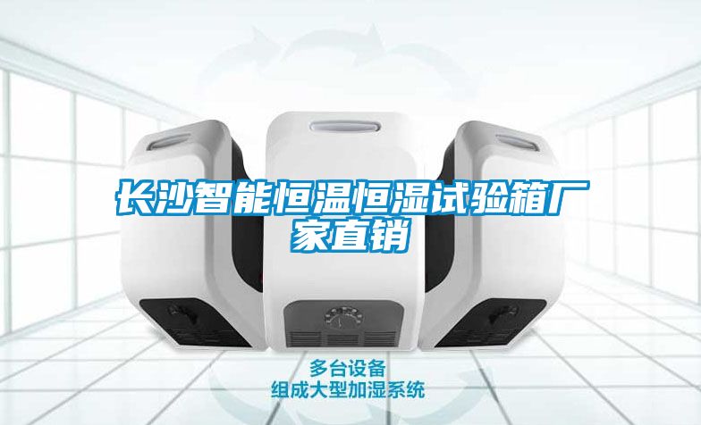 長沙智能恒溫恒濕試驗箱廠家直銷