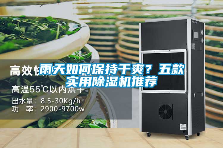 雨天如何保持干爽？五款實用除濕機推薦