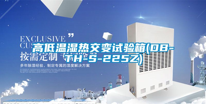 高低溫濕熱交變試驗(yàn)箱(DB-TH-S-225Z)