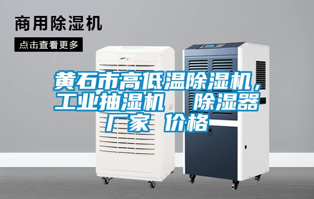 黃石市高低溫除濕機(jī)，工業(yè)抽濕機(jī)  除濕器廠家 價(jià)格