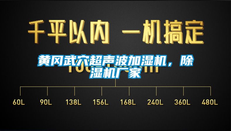 黃岡武穴超聲波加濕機，除濕機廠家
