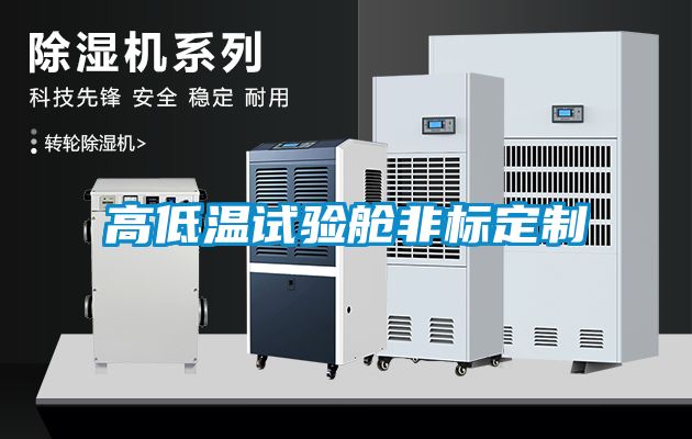 高低溫試驗艙非標定制
