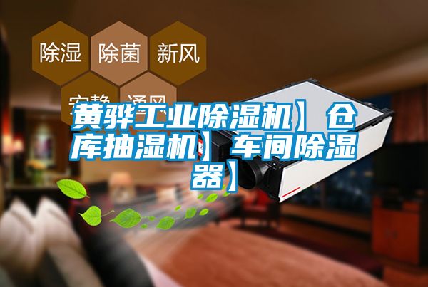 黃驊工業除濕機】倉庫抽濕機】車間除濕器】