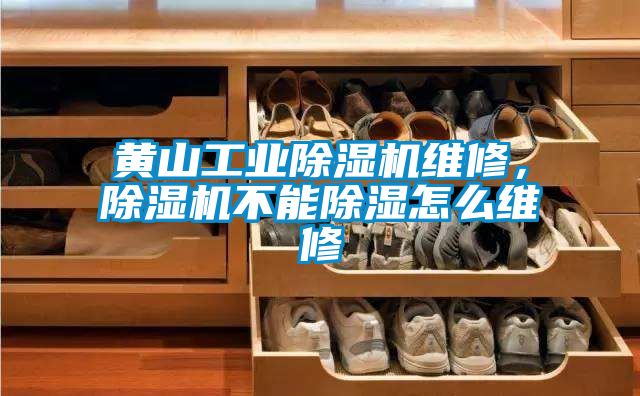 黃山工業除濕機維修，除濕機不能除濕怎么維修