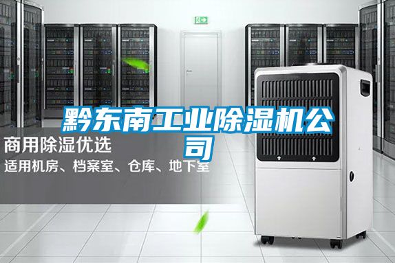 黔東南工業(yè)除濕機(jī)公司