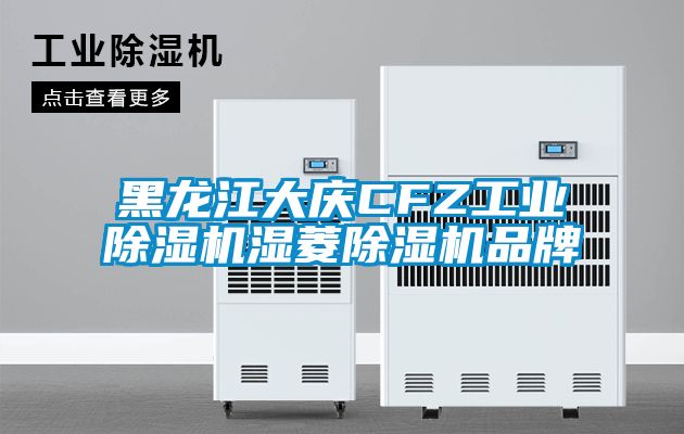 黑龍江大慶CFZ工業(yè)除濕機(jī)濕菱除濕機(jī)品牌