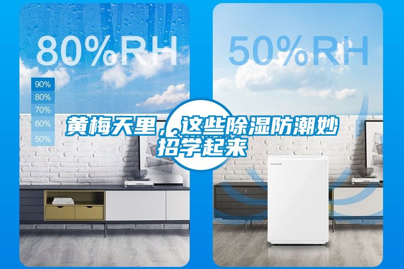 黃梅天里，這些除濕防潮妙招學起來