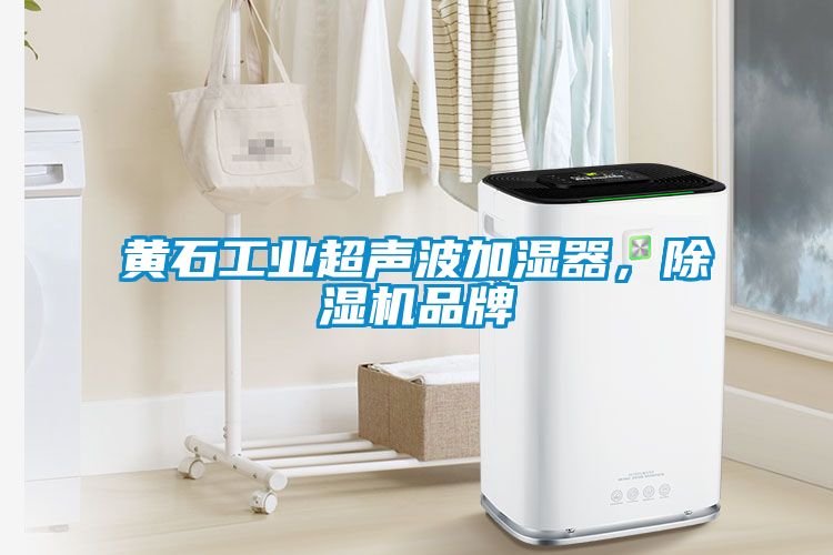 黃石工業超聲波加濕器，除濕機品牌