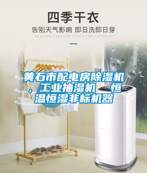 黃石市配電房除濕機，工業抽濕機  恒溫恒濕非標機器