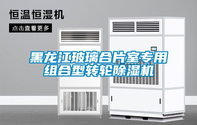 黑龍江玻璃合片室專用組合型轉(zhuǎn)輪除濕機(jī)
